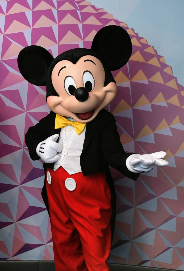 Top 9 Essentials for a Magical Disney Trip With Your Toddler