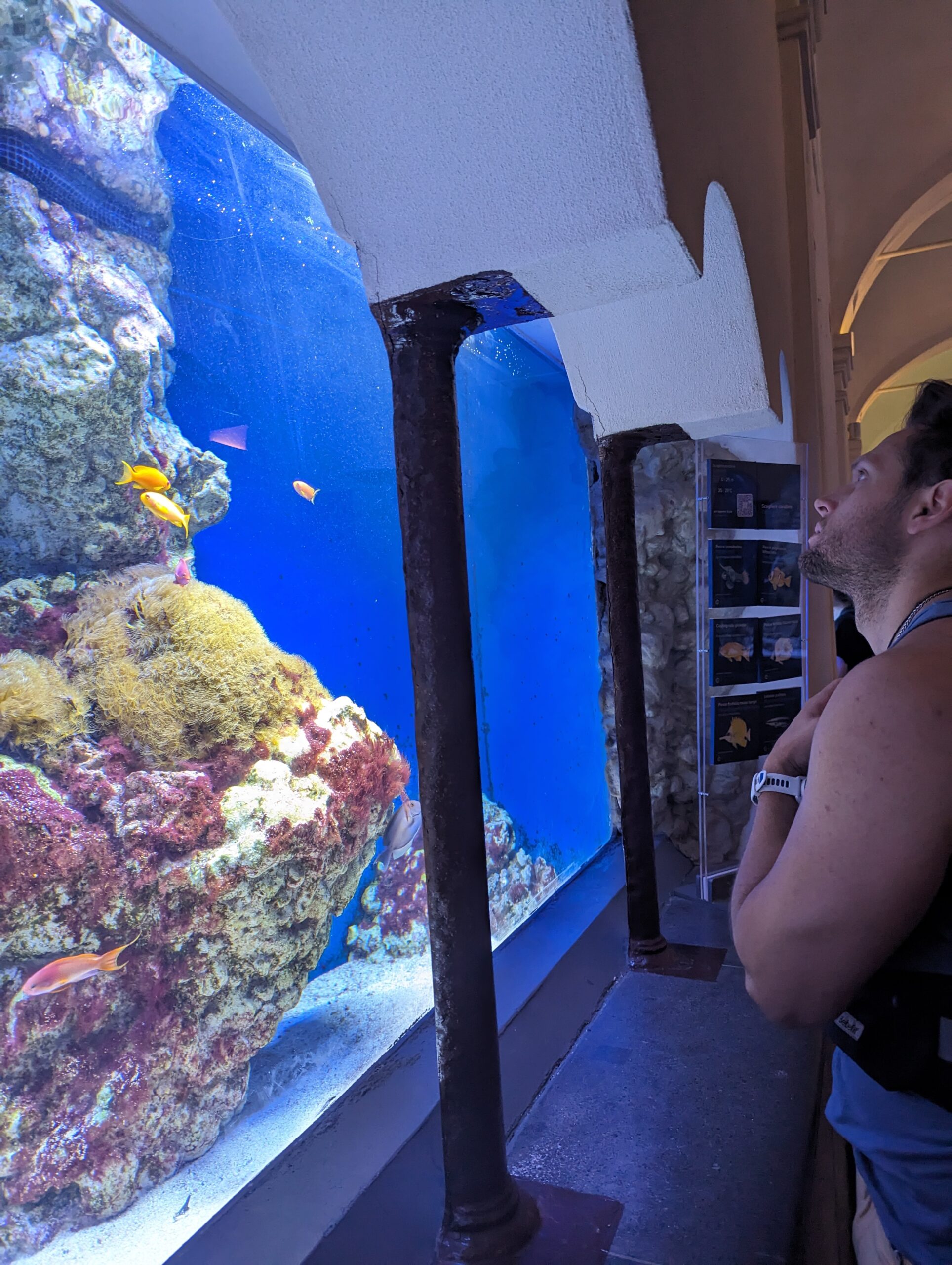 My husband looking at the fish in the aquarium