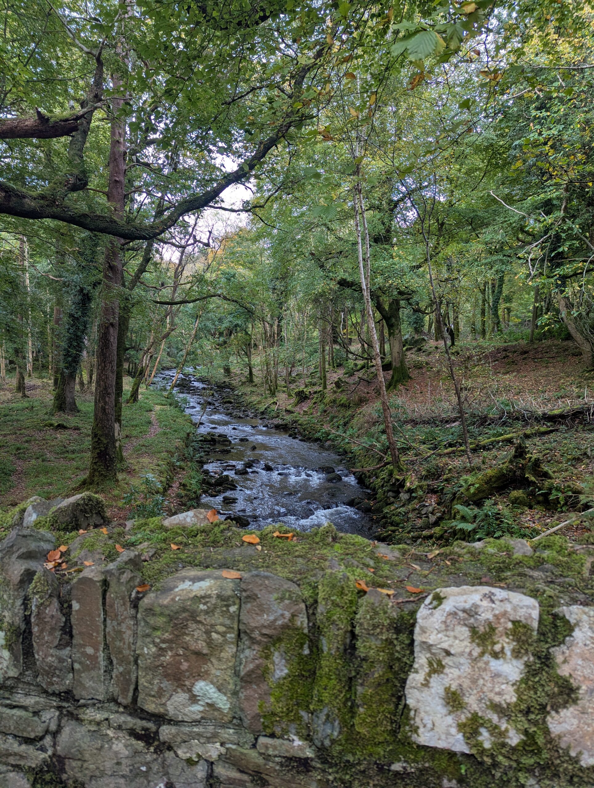 old bridge over a river