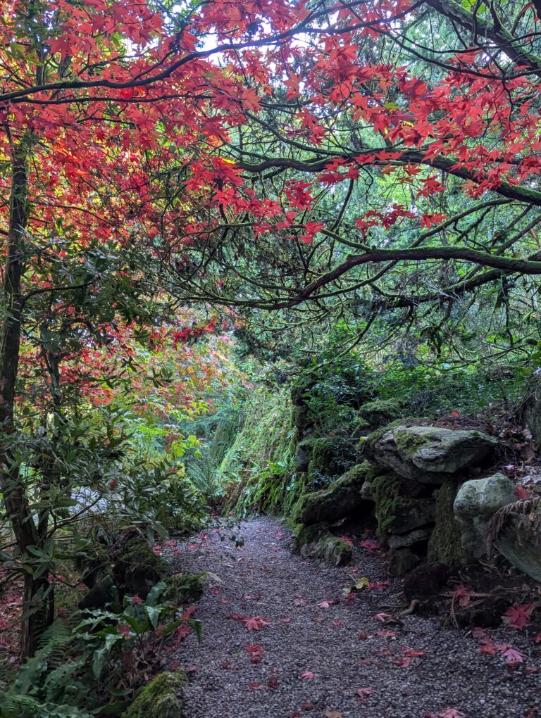 The Gardens and Grounds of Blarney Castle