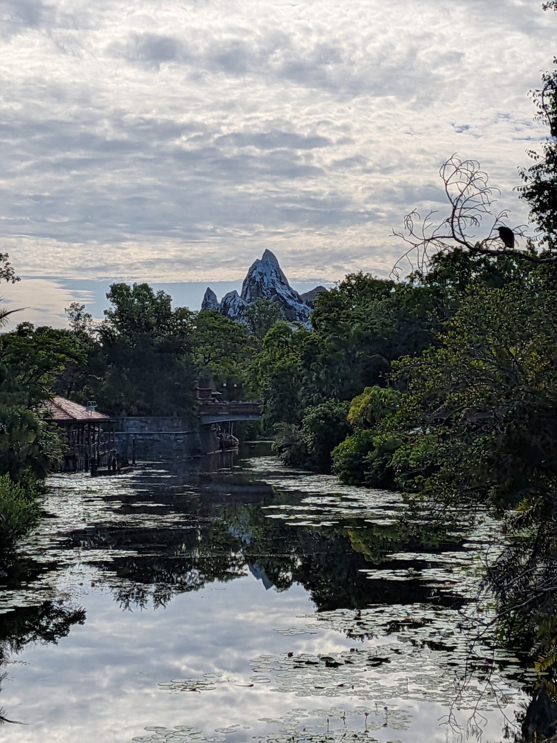 Mount Everest at Disney's Animal Kingdom